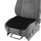 Накидка на переднее сиденье, искусственный мех, размер 48 х 48 см, черный - фото 9567534