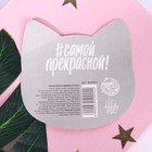 Заколки для волос ушки «Моей кошечке», 2 шт., 5×5 см - Фото 4