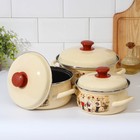 Набор эмалированных кастрюль «Сомелье-1», 3 предмета: 1,5 л, 2 л, 3 л, индукция - фото 60899652