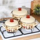 Набор эмалированных кастрюль «Сомелье-1», 3 предмета: 1,5 л, 2 л, 3 л, индукция - фото 60899654