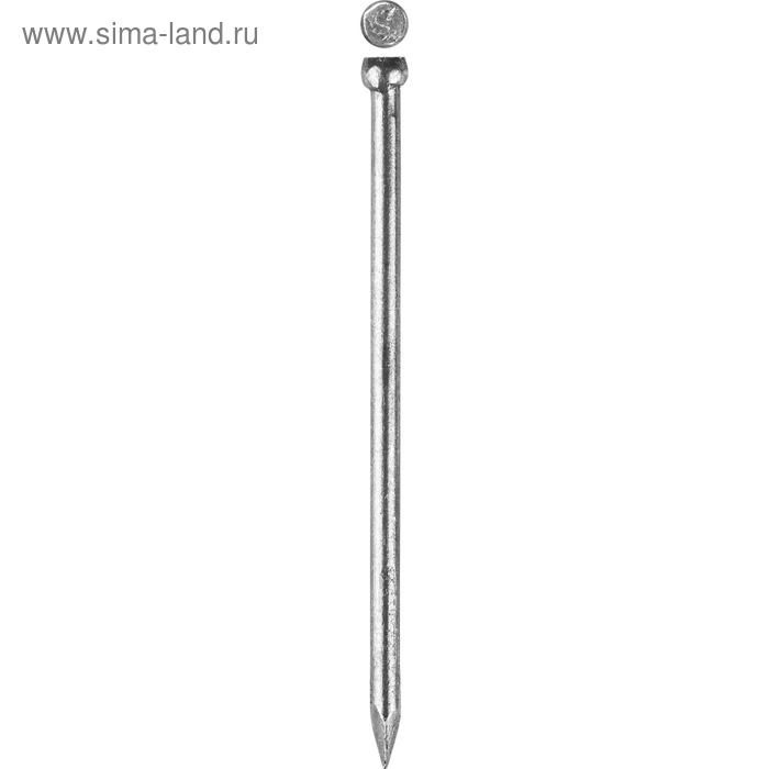 Гвозди ЗУБР ПРОФЕССИОНАЛ, финишные, ГОСТ 7811-7035, с покрытием венге, 1.8×40 мм, 5 кг - Фото 1