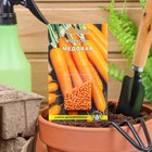 Семена Морковь  "МЕДОВАЯ" простое драже 300 шт - фото 9394718