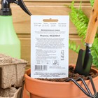 Семена Морковь "МЕДОВАЯ" простое драже 300 шт - Фото 4