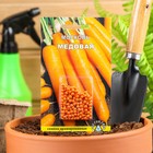 Семена Морковь  "МЕДОВАЯ" простое драже 300 шт - фото 9394716