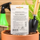 Семена Морковь "МЕДОВАЯ" простое драже 300 шт - Фото 2