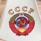 Набор для бани с принтом «СССР», 5 предметов: шапка, рукавица, коврик, портфель, мочалка, «Добропаровъ» - Фото 6