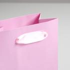 Пакет подарочный, упаковка, «Розовый», 11,5 х 14.5 х 6 см - Фото 3