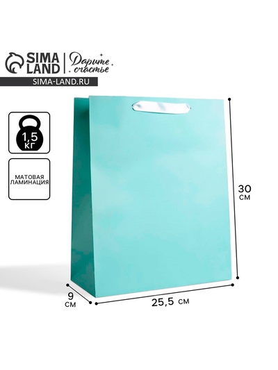 Пакет подарочный, упаковка «Мятный», M 25.5×30×9 см