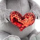 Мягкая игрушка «Енотик Дэнни: Пламенное сердце», 15 см - Фото 5