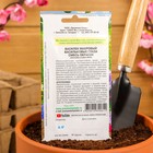 Семена цветов Василек махровый «Васильковые глаза», смесь, 0.5 г, Premium seeds - Фото 4