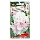 Семена цветов Петуния махровая каскадная "Императрица", F1, 8-10 шт - Фото 1