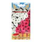 Семена цветов Сурфиния (петуния ампельная) "Жених и невеста", F1, 5 шт - Фото 3