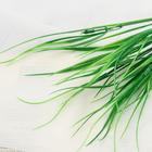 Букет искусственный «Канареечник», 30 см 5202890