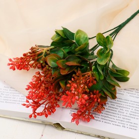 Букет "Каланхоэ" 32 см, микс (5202894) - Купить по цене от 115.00 руб ...
