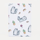 Обложка для паспорта, цвет белый (комплект 2 шт) - фото 21142743