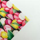 Бумага упаковочная глянцевая «Тюльпаны с 8 марта», 70 х 100 см - Фото 3