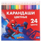 Карандаши 24 цвета, заточенные, шестигранные, картонная упаковка, европодвес, "Супергерой", Человек-паук - Фото 2