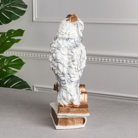 

Копилка "Сова на книгах", белая, 38 см