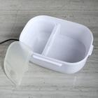 УЦЕНКА Контейнер для пищи с подогревом, 12 В, объем 1 л, микс - Фото 10