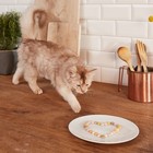 Лакомство GIMCAT для кошек, сырные шарики, 200 г - Фото 3
