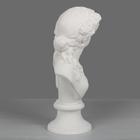 Гипсовая фигура Бюст Флоры, 17.5 х 17 х 40 см - Фото 4
