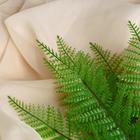 Букет искусственный «Папоротник», h=30 см - Фото 2