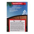 Книга-квест «Случай на фабрике Деда Мороза», 22 страницы - Фото 3