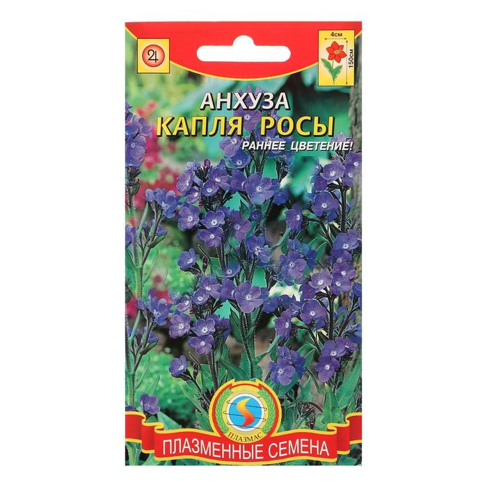 Семена цветов Анхуза "Капля росы", 5 шт. - Фото 1