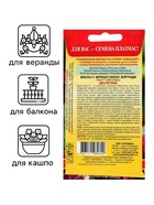 Семена Виола "Фриззл Сиззл", бургунди, F1, 5 шт - Фото 3