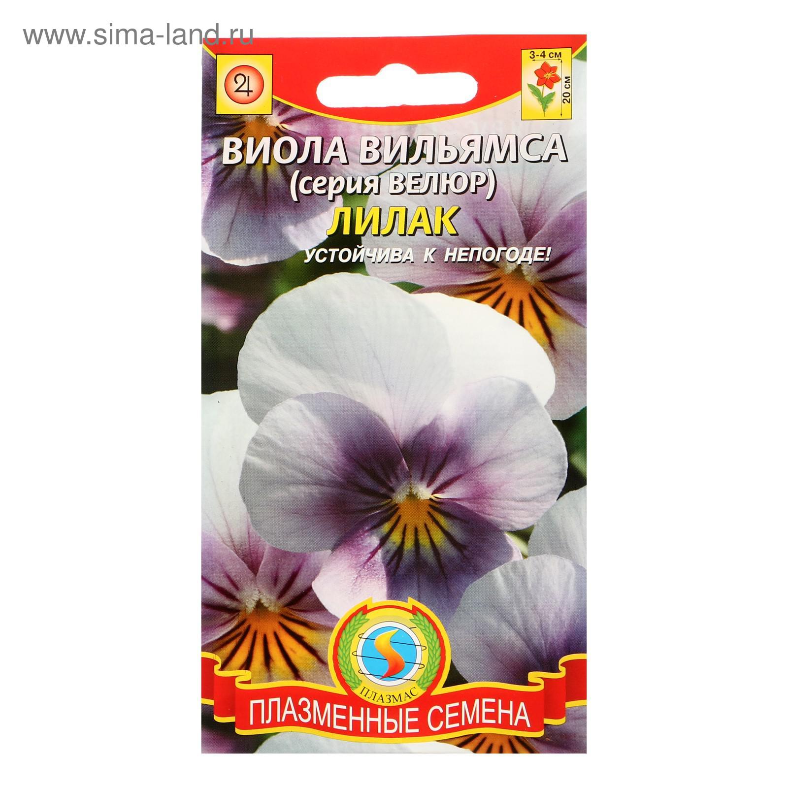 Семена Виолы Купить В Интернет Магазине