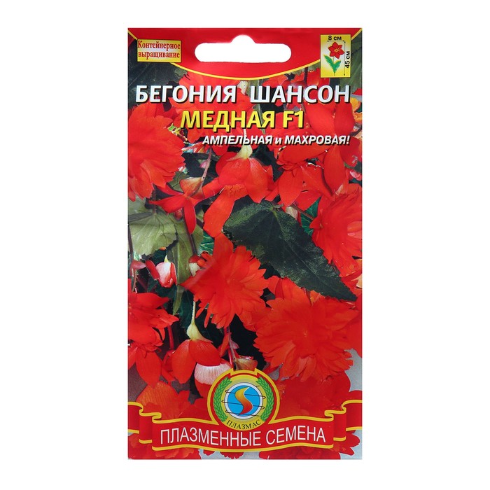 Семена цветов Бегония "Шансон Медная", F1, махровая, драже 5 шт - Фото 1