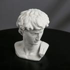 Гипсовая фигура "Голова Давида" 8 х 12,5, серая - фото 25348665