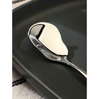 Ложка для мороженого Magistro, длина 13 см, нержавеющая сталь, серебристая - Фото 2