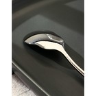 Ложка для мороженого Magistro, длина 13 см, нержавеющая сталь, серебристая - Фото 4