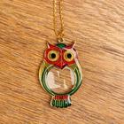 Лупа-подвеска "Сова" 5х, d=30мм 5117798