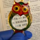 Лупа-подвеска "Сова" 5х, d=30мм 5117798