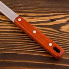 Шумовка для казана Шафран, 48 см, диаметр 13 см, узбекская, с деревянной ручкой, металл, серебристая - Фото 8