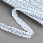 Тесьма декоративная «Шанель», 12 мм, 10±1 м, цвет серебряный - Фото 2