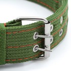 Ошейник четырехслойный с вертлюгом, 80×4.9 см, ОШ 64-74 см, полиэстер, зелёный - Фото 3