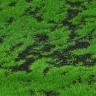 Мох искусственный, декоративный, полотно 1 × 1 м, зелёный на чёрном, Greengo - Фото 3