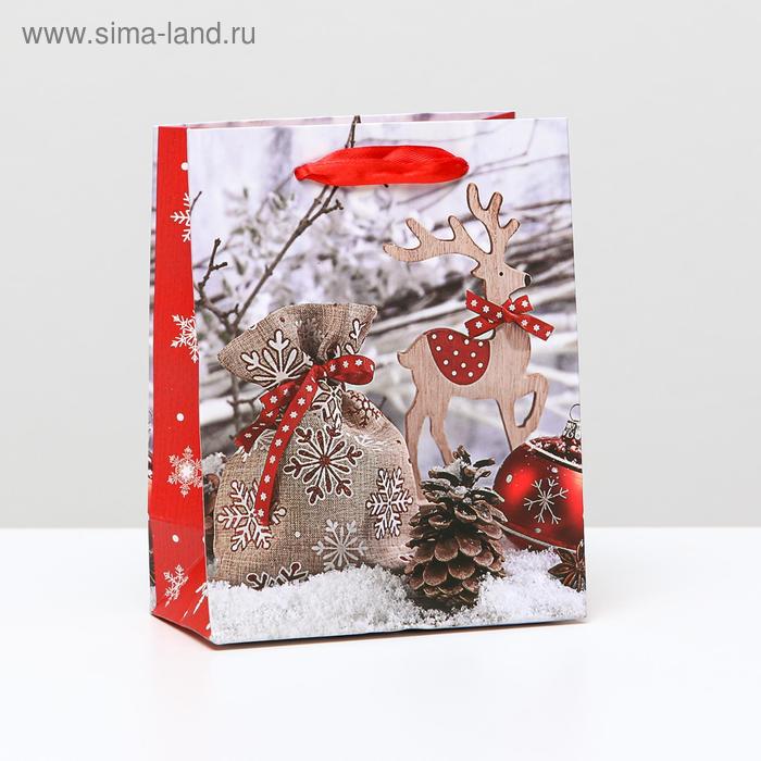 Пакет ламинированный "Подарочный", 11,5 x 14,5 x 6 см - Фото 1