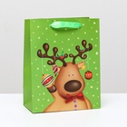 Пакет подарочный новогодний ламинированный «Подарок», 18?23?10 см (комплект 12 шт) - фото 39898530