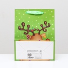 Пакет подарочный новогодний ламинированный «Подарок», 18?23?10 см (комплект 12 шт) - фото 53797687