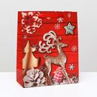 Пакет ламинированный "Новогодний олень", 26 x 32 x 12 см - Фото 1