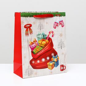 Пакет ламинированный "Мешок подарков", 26 x 32 x 12 см
