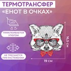 Термотрансфер «Енот в очках», 16,5 × 19 см - фото 320649141