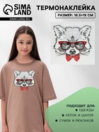 Термонаклейка «Енот в очках», 16.5×19 см - Фото 1