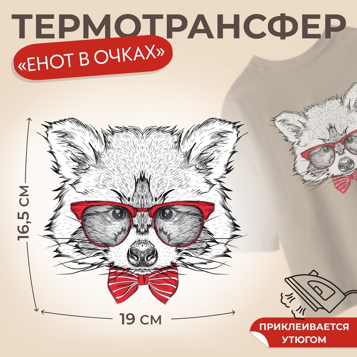 Термотрансфер «Енот в очках», 16,5 × 19 см