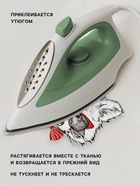 Термонаклейка «Енот в очках», 16.5×19 см - Фото 2