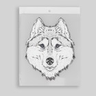 Термотрансфер «Волк», 15,5 × 20 см, цвет чёрный/белый - Фото 5